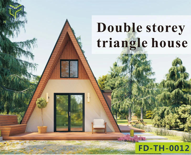 1Triangle house design