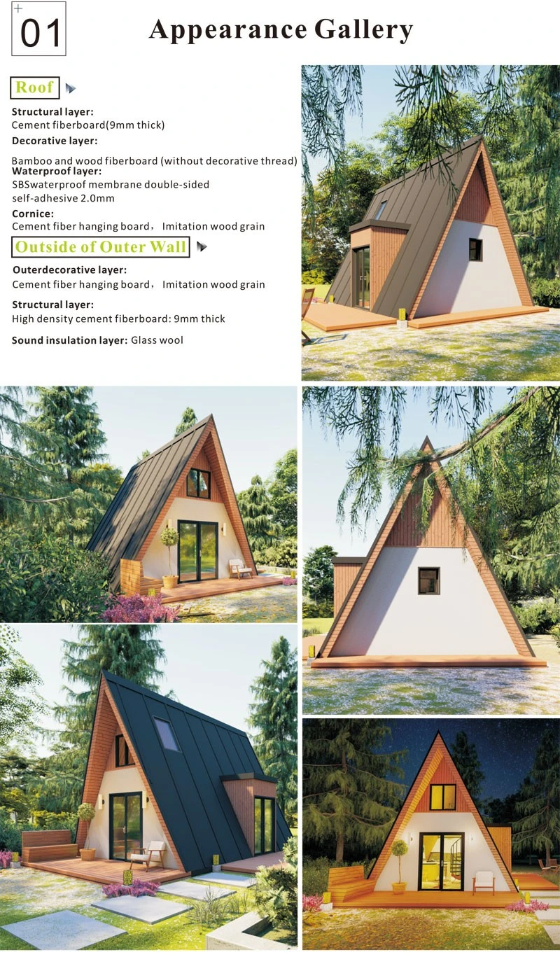 2Triangle house introduction