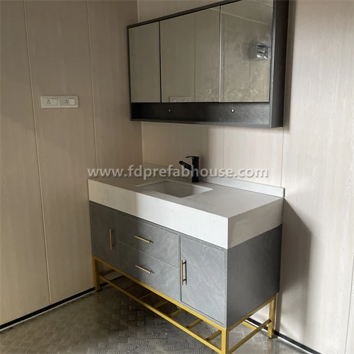 20ft Deluxe Shippng Container Shower Room